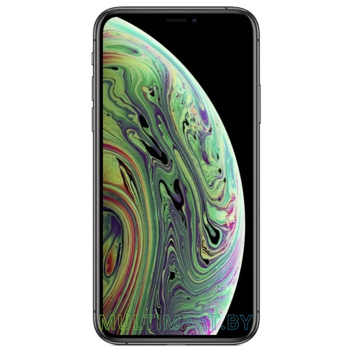 Смартфон Apple iPhone XS Max 256GB (серый космос)